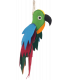 Ara - Perroquet multicolore