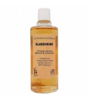 BLANDININE 100 ML SPRAY